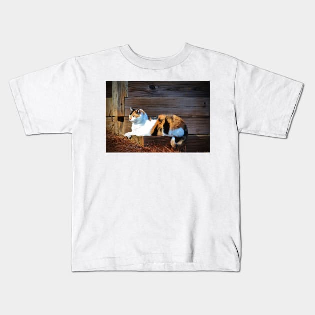 Calico Cat On The Steps Kids T-Shirt by Cynthia48